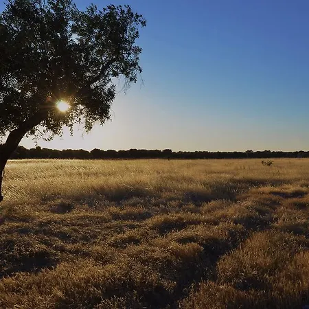 Su Sattisceddu Alloggio per agriturismo